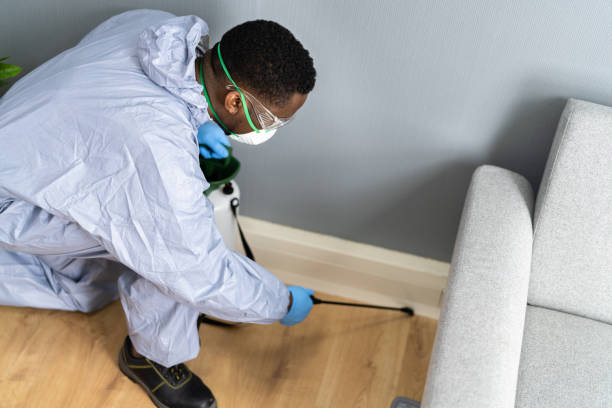 Professional Pest Control in University Park, NM